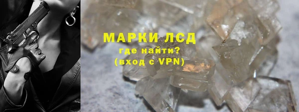 стафф Касимов
