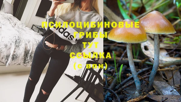 прущие крисы Козельск