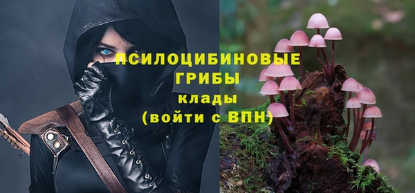 прущие крисы Козельск