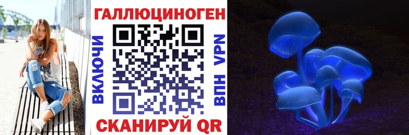 Галлюциногенные грибы Cubensis кракен онион Кимовск продажа наркотиков